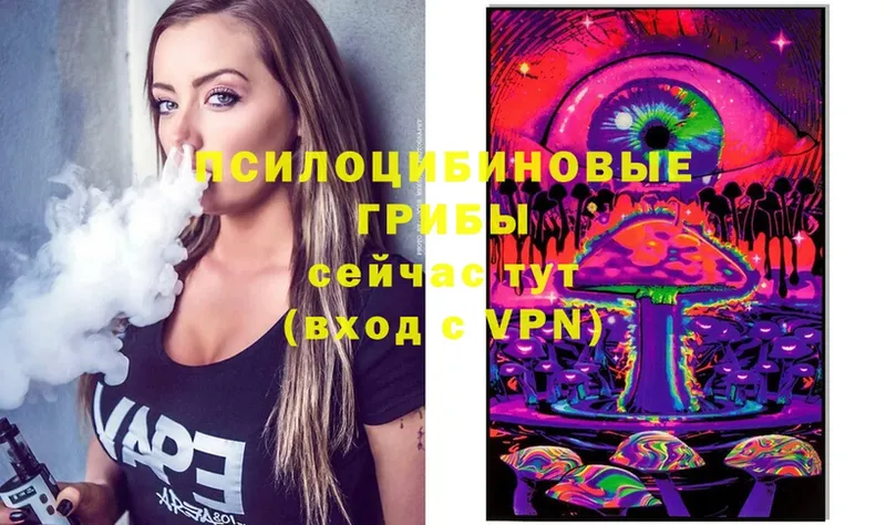 OMG рабочий сайт  Гдов  Галлюциногенные грибы Psilocybine cubensis  даркнет сайт 